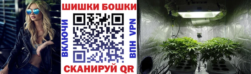 Где продают наркотики Северск Гашиш COCAIN ОМГ ОМГ маркетплейс Псилоцибиновые грибы Бошки Шишки APVP МЕФ
