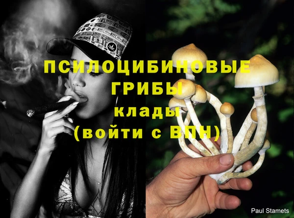 ешки Верея