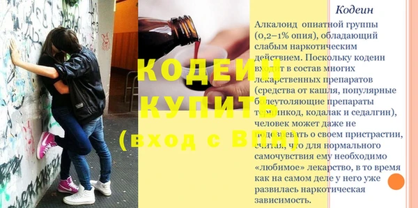 крисы Каменка