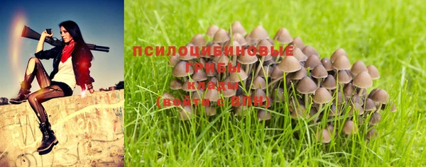 ALPHA PVP Богданович