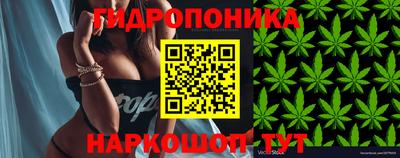 гидра Партизанск