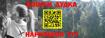 гидра Партизанск