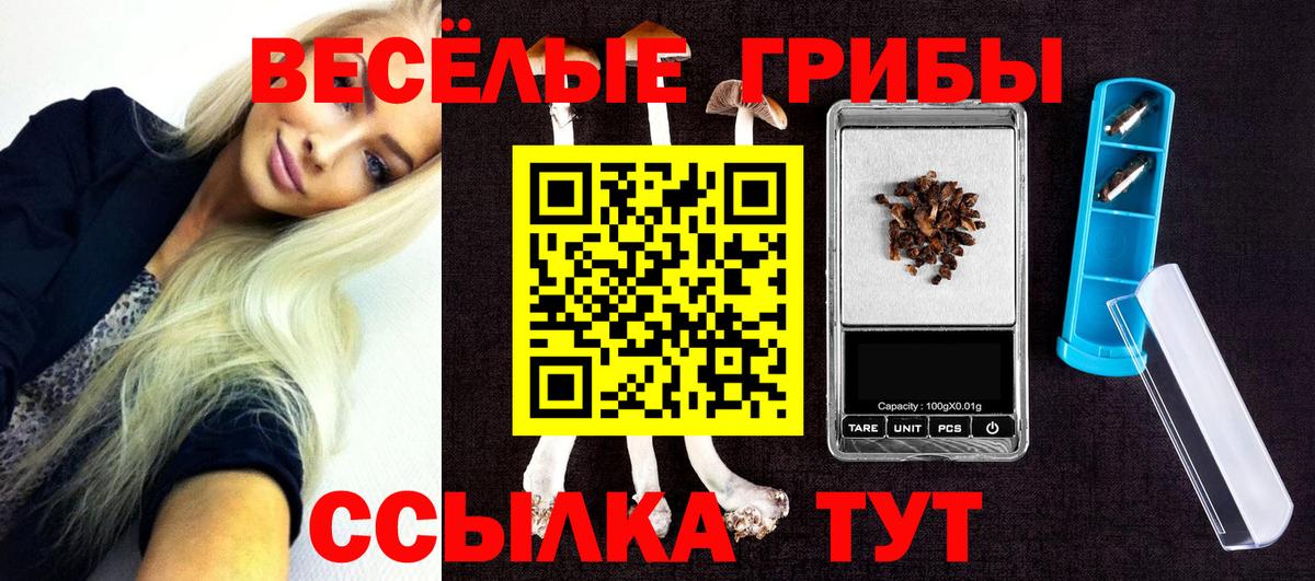 Северск  Псилоцибиновые грибы MAGIC MUSHROOMS  Вход с VPN 