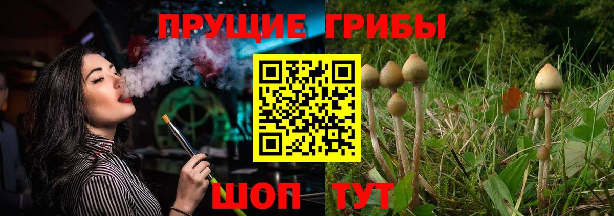 Псилоцибиновые грибы Magic Shrooms Северск