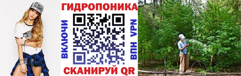 Марихуана OG Kush Северск