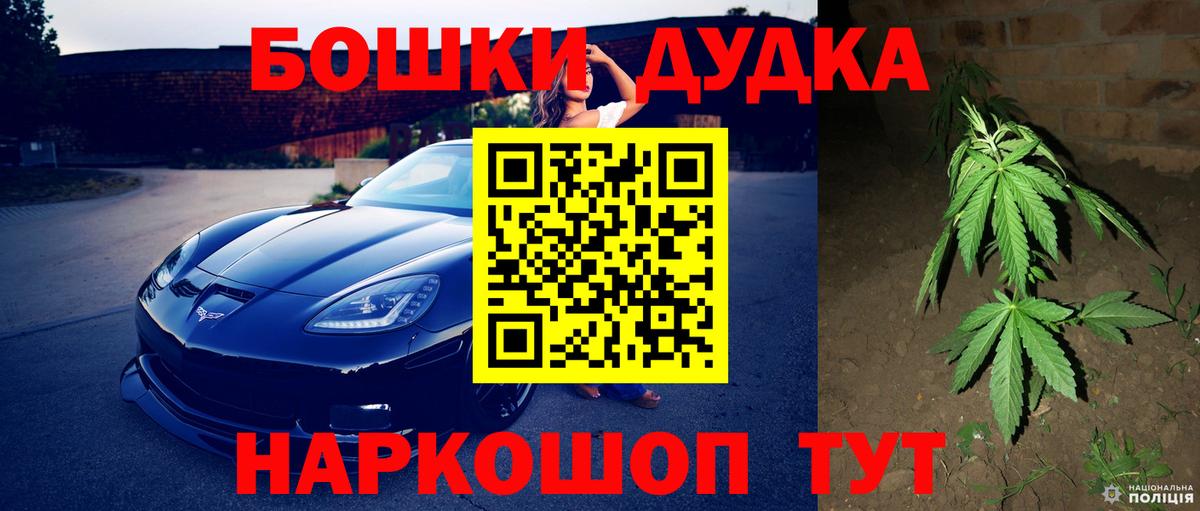 Каннабис конопля Северск