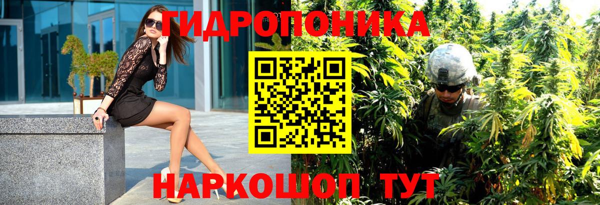 Канабис White Widow  Бошки марихуана OG Kush  Шишки марихуана планчик  Вход с VPN  Северск 